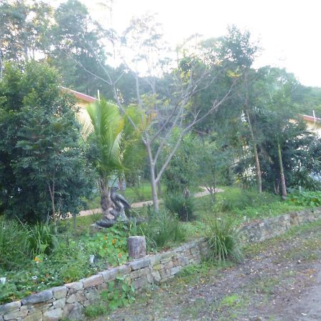 Teretre Cabins Nimbin Villa Esterno foto