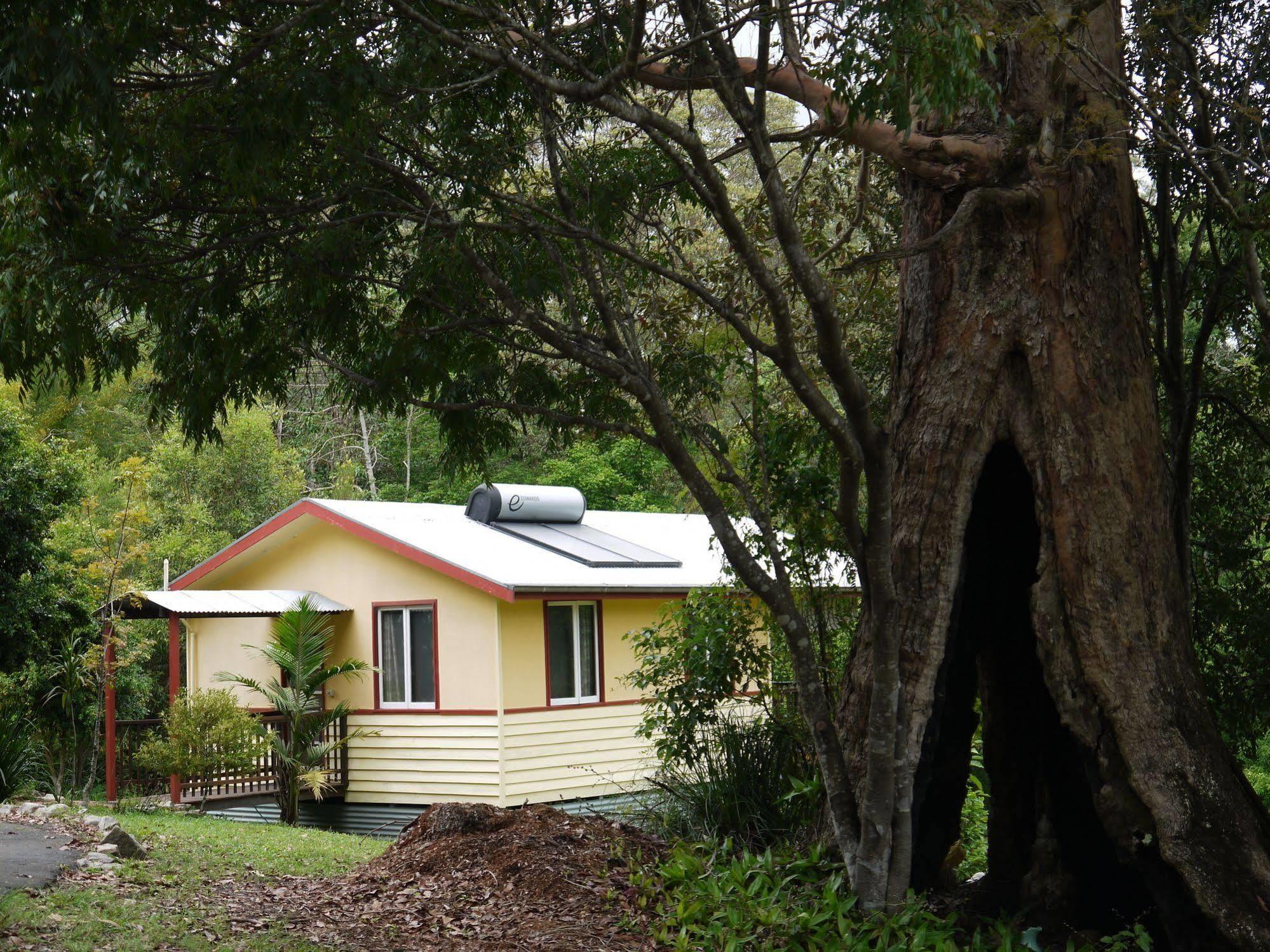 Teretre Cabins Nimbin Villa Esterno foto